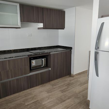 356 Apartments - Mendoza Kültér fotó