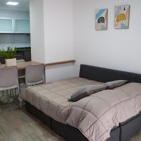 356 Apartments - Mendoza Kültér fotó