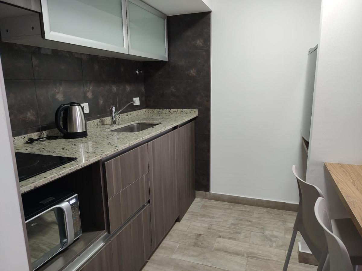 356 Apartments - Mendoza Kültér fotó