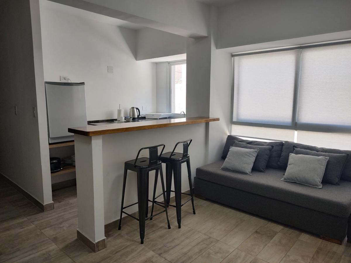 356 Apartments - Mendoza Kültér fotó