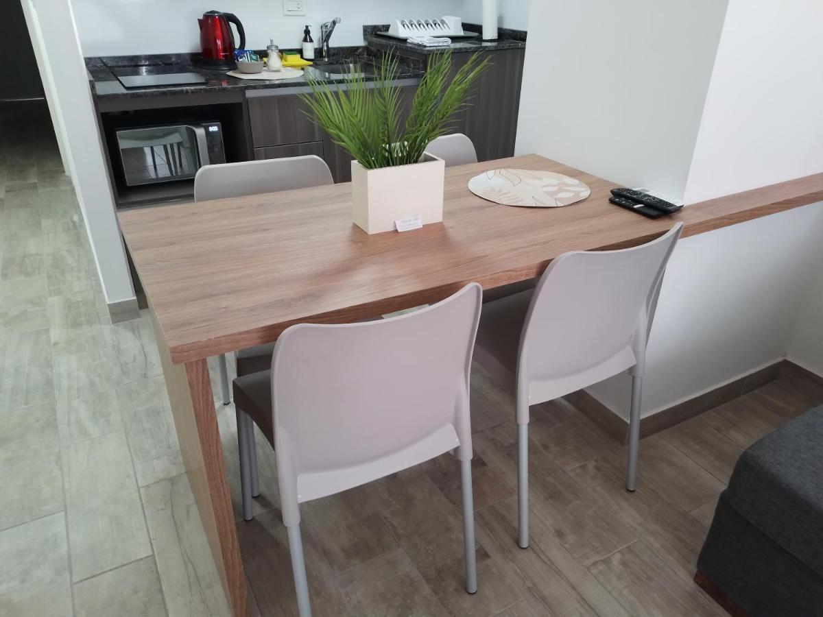 356 Apartments - Mendoza Kültér fotó