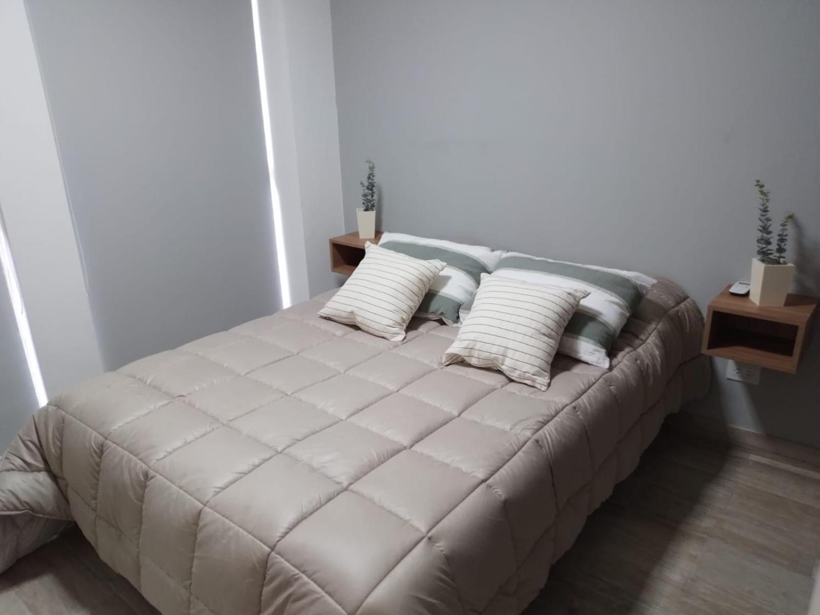 356 Apartments - Mendoza Kültér fotó