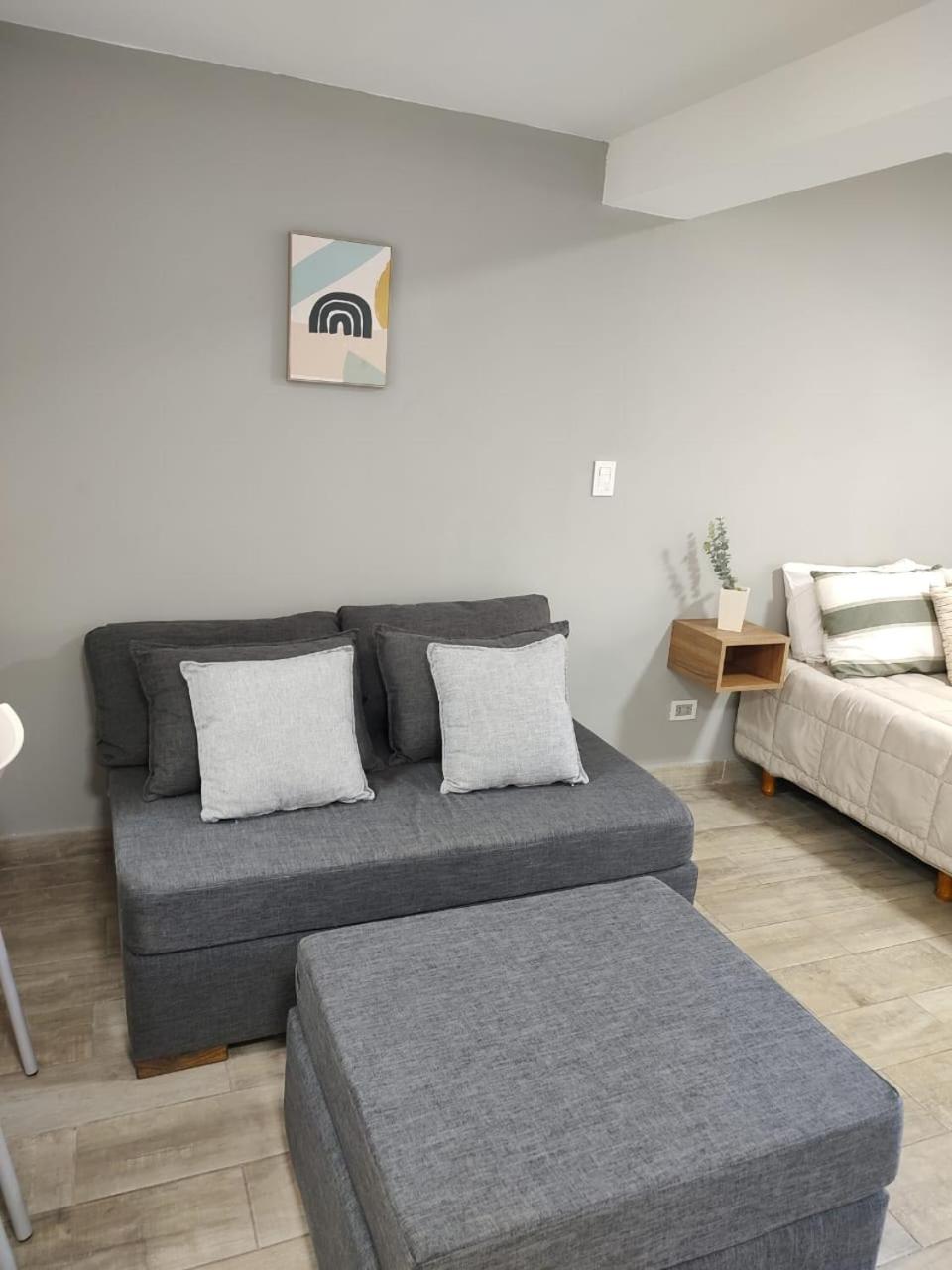 356 Apartments - Mendoza Kültér fotó