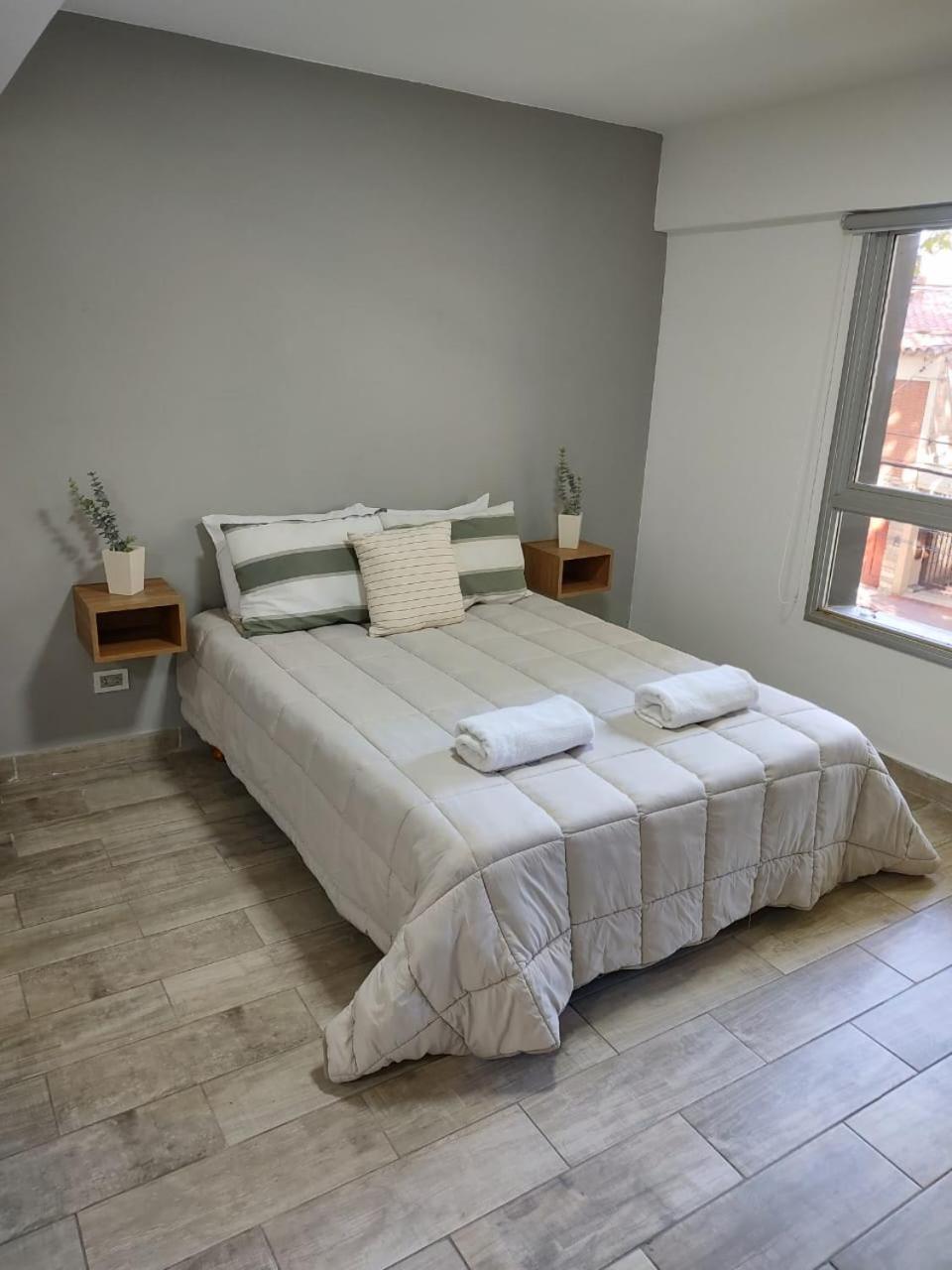356 Apartments - Mendoza Kültér fotó