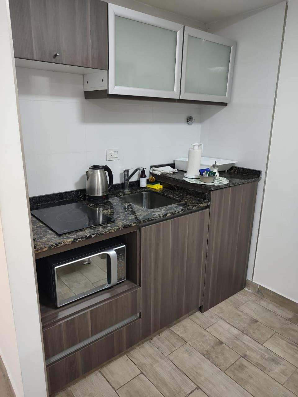 356 Apartments - Mendoza Kültér fotó
