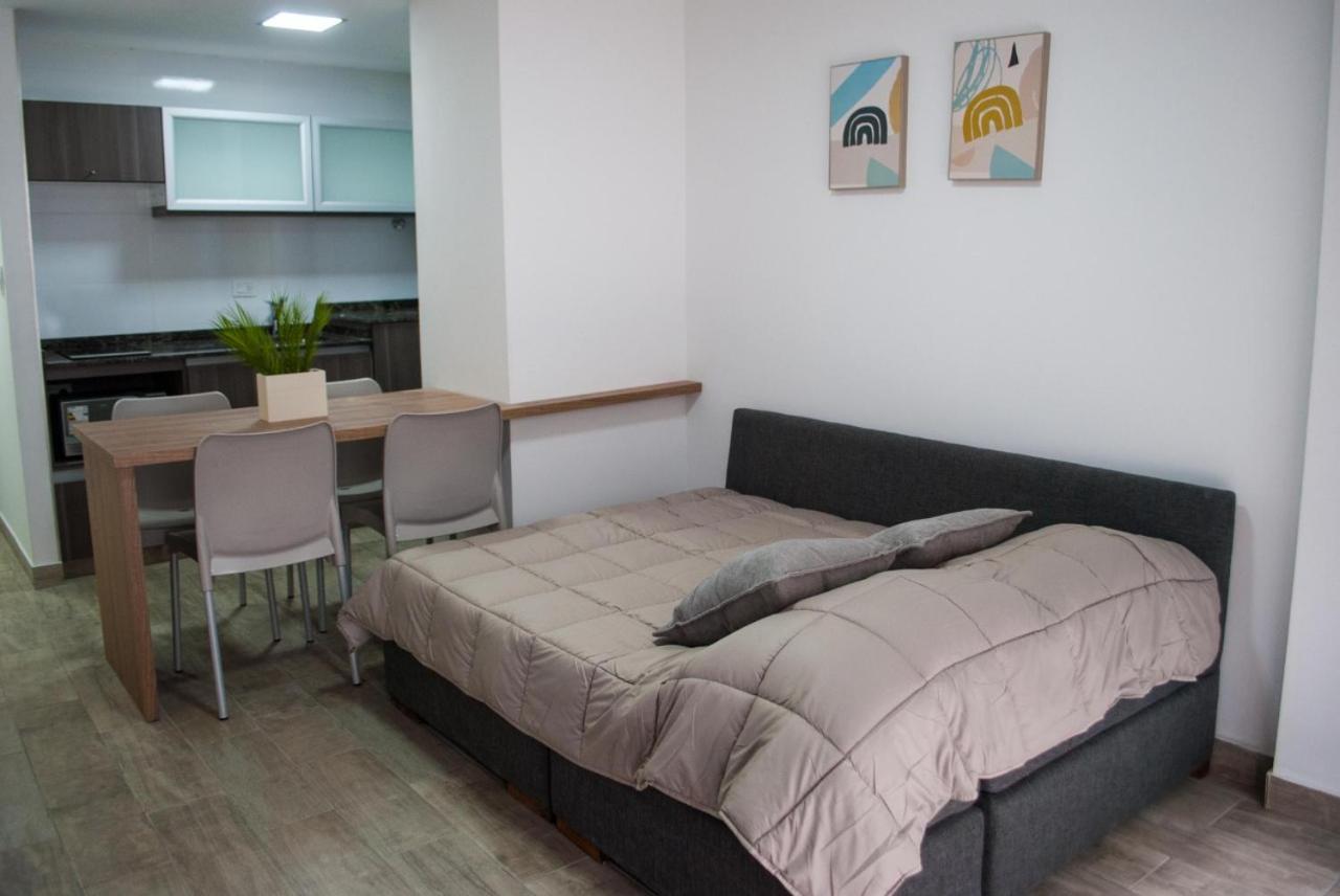 356 Apartments - Mendoza Kültér fotó
